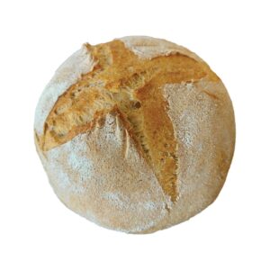 Argis Orimasnsis barley bread